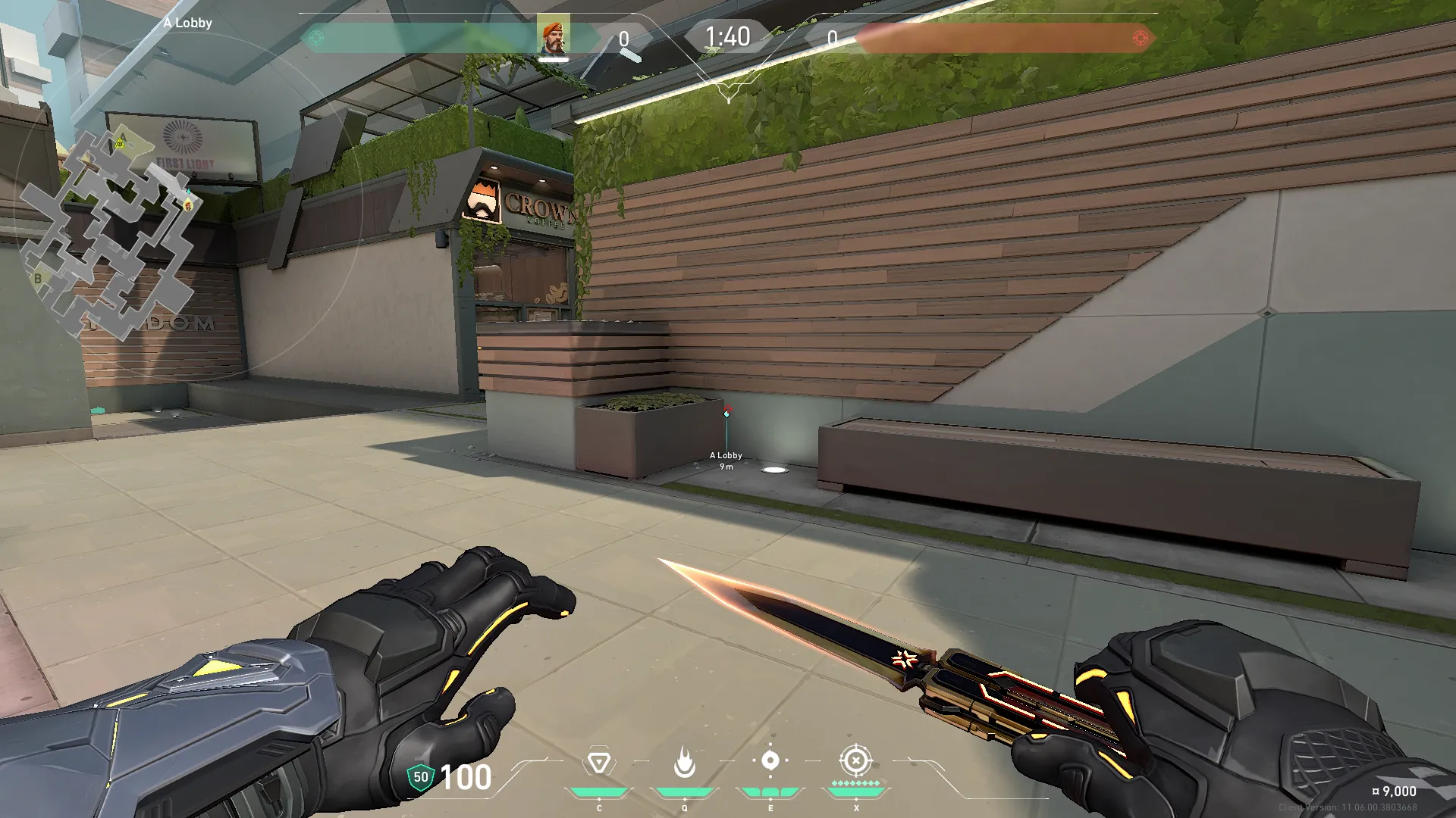 Post Plant Molly A Back Site From A Lobby — Brimstone lineup on Split