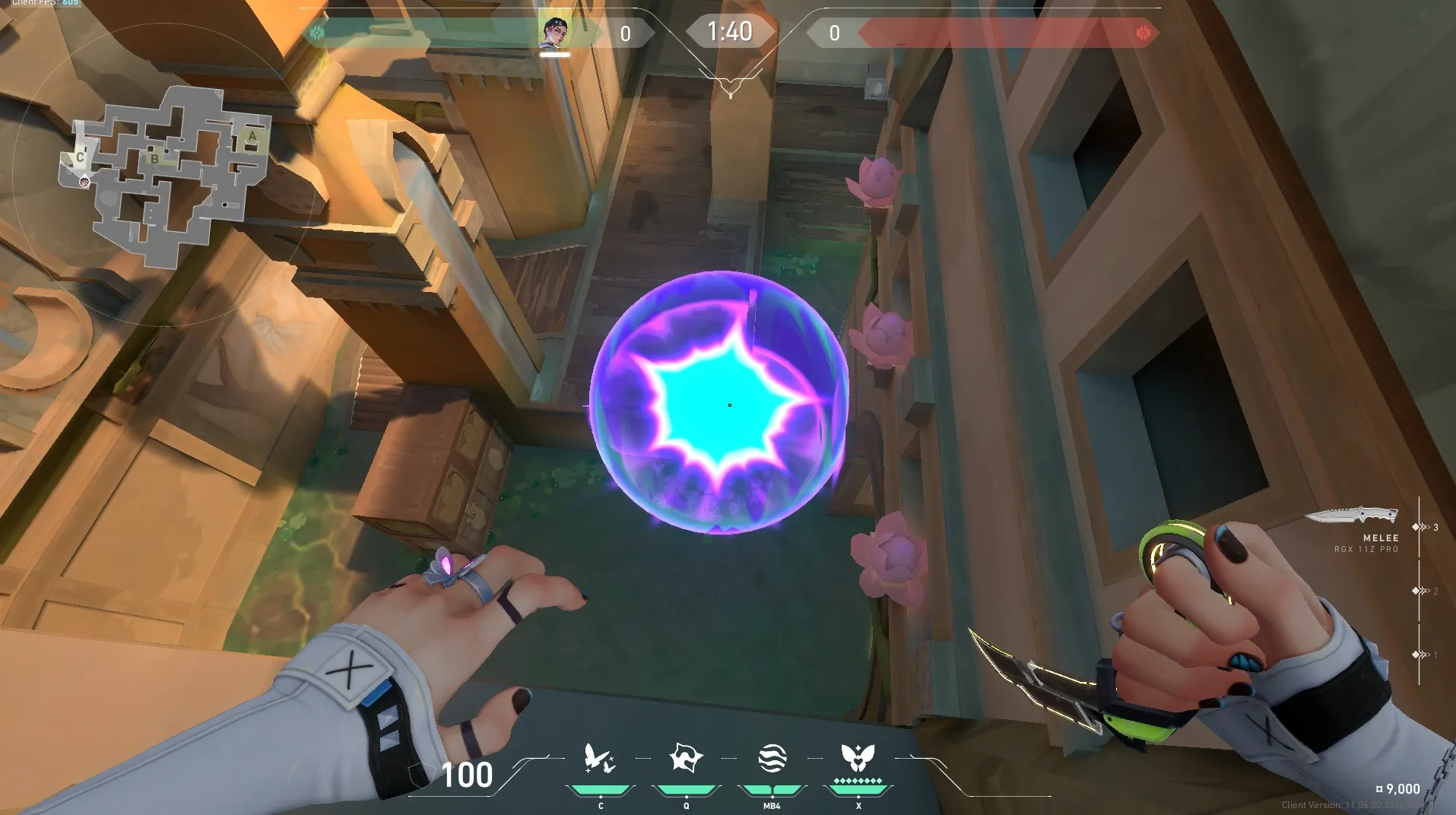 Clove Meddle on Lotus Attack Site C — step 6 of 6: Result
