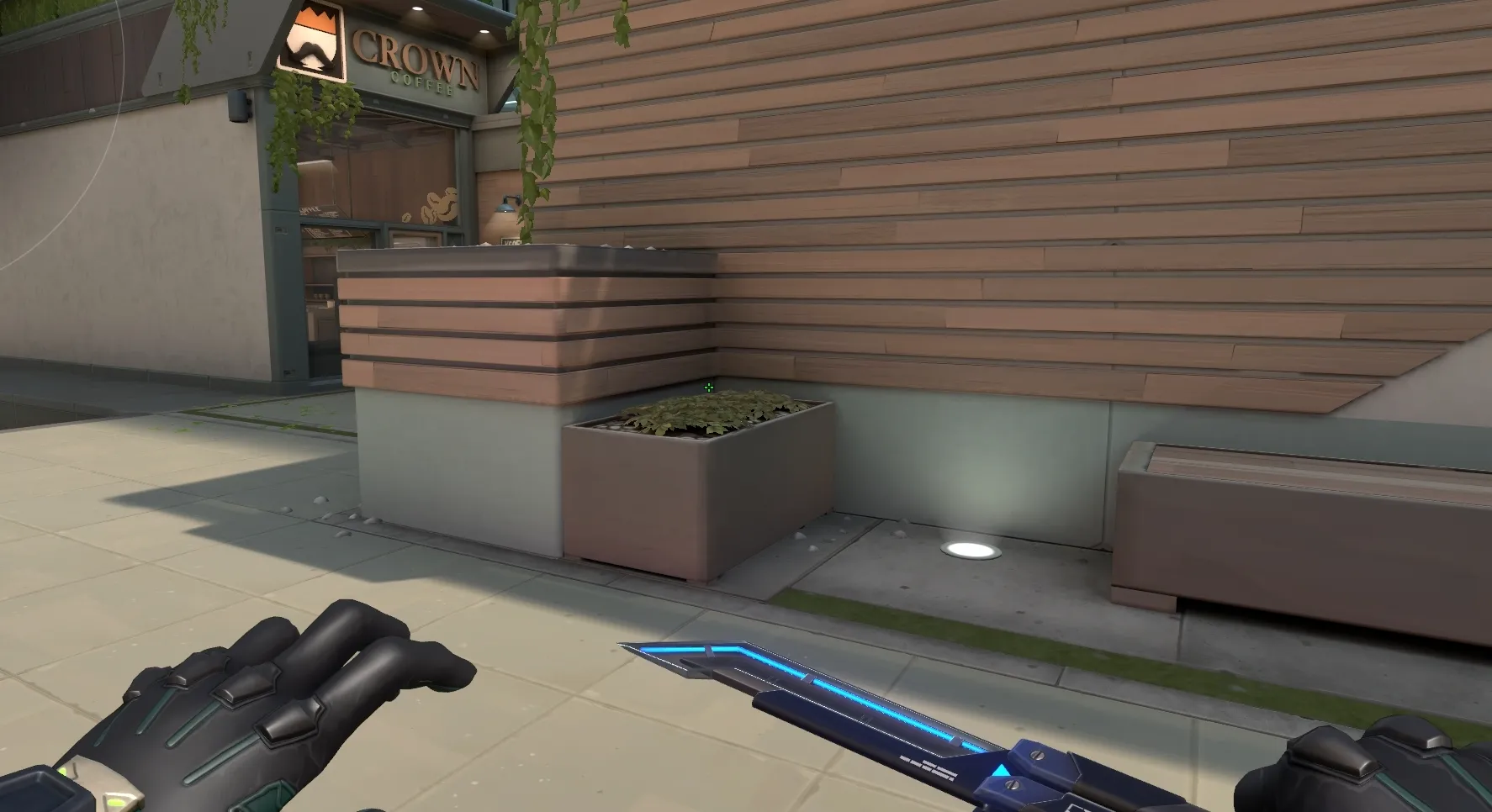 Molly to A Default — Viper lineup on Split